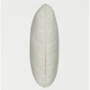 ไกลซีน (Glycine) กรดอะมิโนคุณภาพสูง - บริษัท ทีวายพี เคมีคอล จำกัด